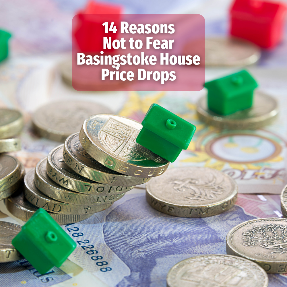 Basingstoke house price drops