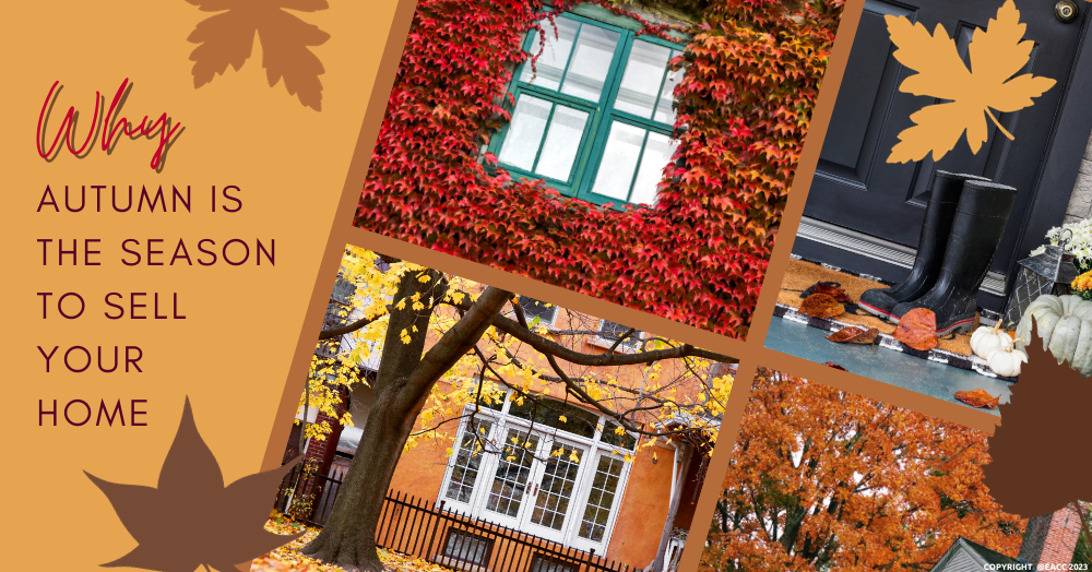 Collage with autumn themed pictures