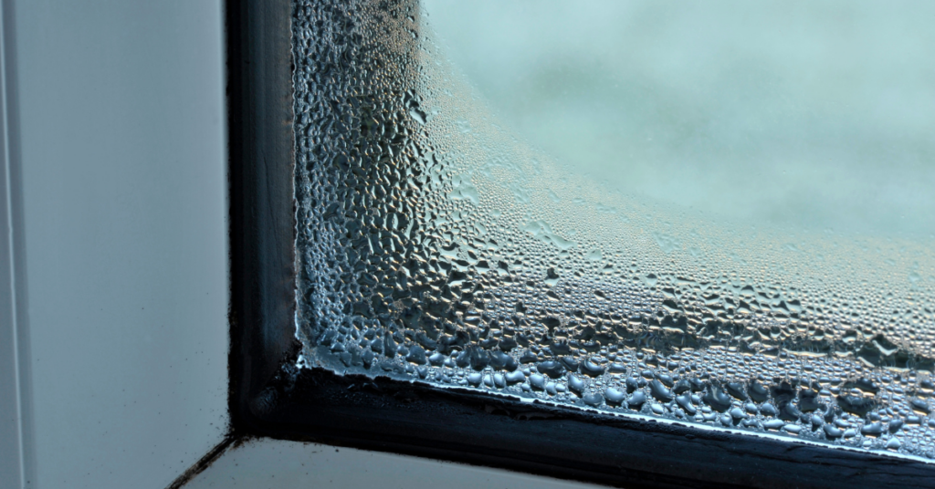 Condensation window.