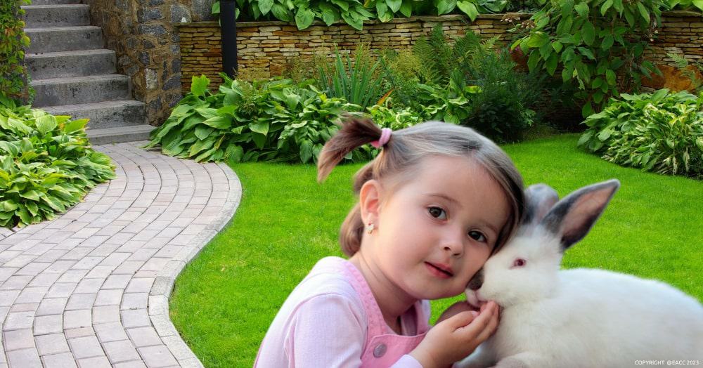 Girl and a rabbit in the garden