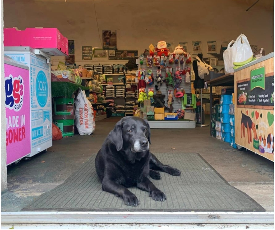 Williams Pet & Garden Supplies Store