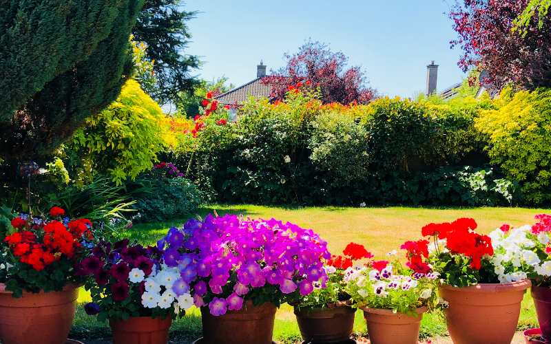 How desirable is a house with a south facing garden in Mumbles? Find the right estate agent in Mumbles with Belvoir. 