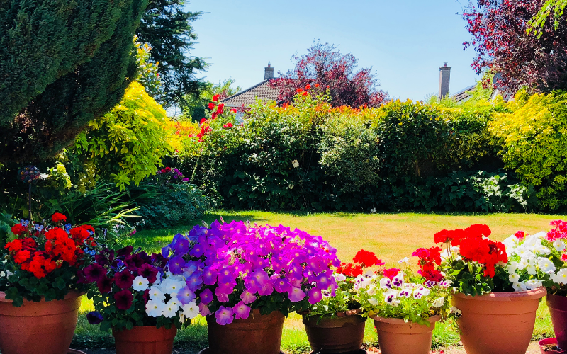 How desirable is a house with a south facing garden in Mumbles? Find the right estate agent in Mumbles with Belvoir.