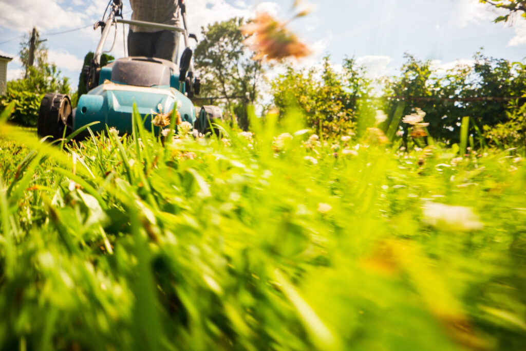 As we welcome the warmer months, gardens across Tunbridge Wells are poised to burst into life. This renewal brings not just beauty but also potential challenges for landlords and tenants alike. However, gardens as a frequent source of tenancy deposit disputes, which emphasises the need for clear guidelines and responsibilities when it comes to maintaining these green spaces.