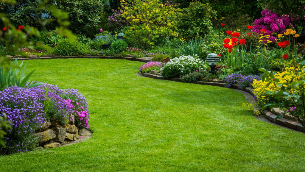Image of beautiful garden