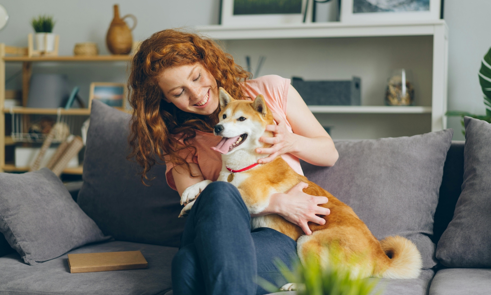Tenant relaxing with her dog in a Gloucester rental property affected by Article 4 and HMO regulations in 2026