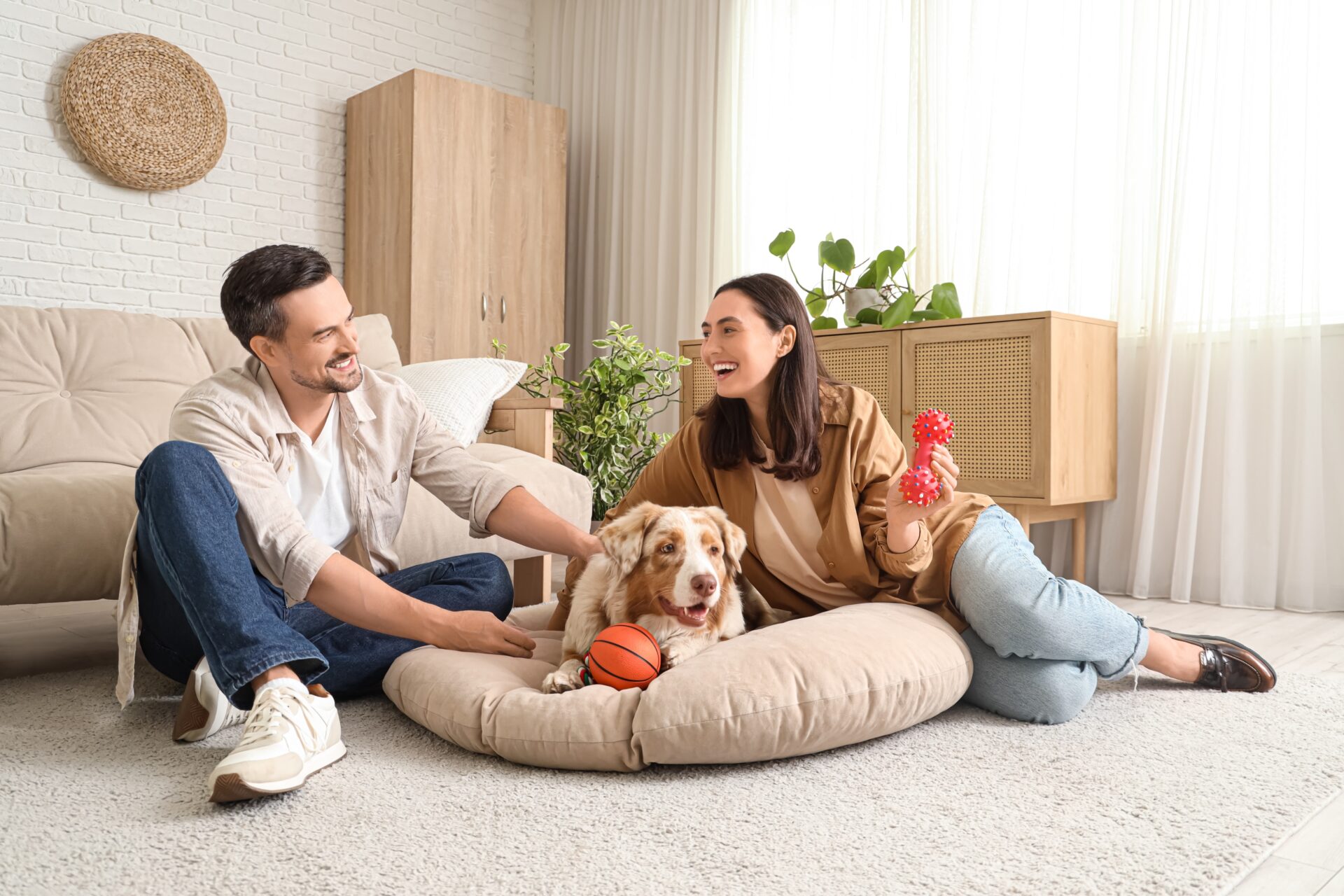 Young couple relaxing with their dog in a modern Cannock rental property under the Renters' Rights Act 2025 changes