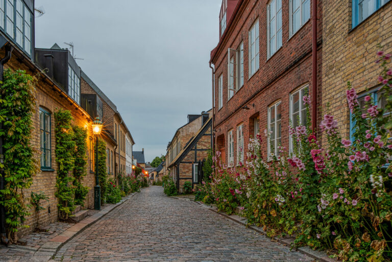Traditional residential street in Doncaster highlighting rental properties in DN1 and DN4 selective licensing areas