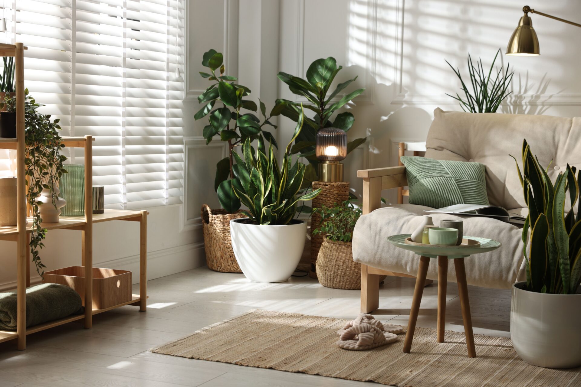 Bright modern living room interior in a stylish Guiseley family home with natural light and indoor plants