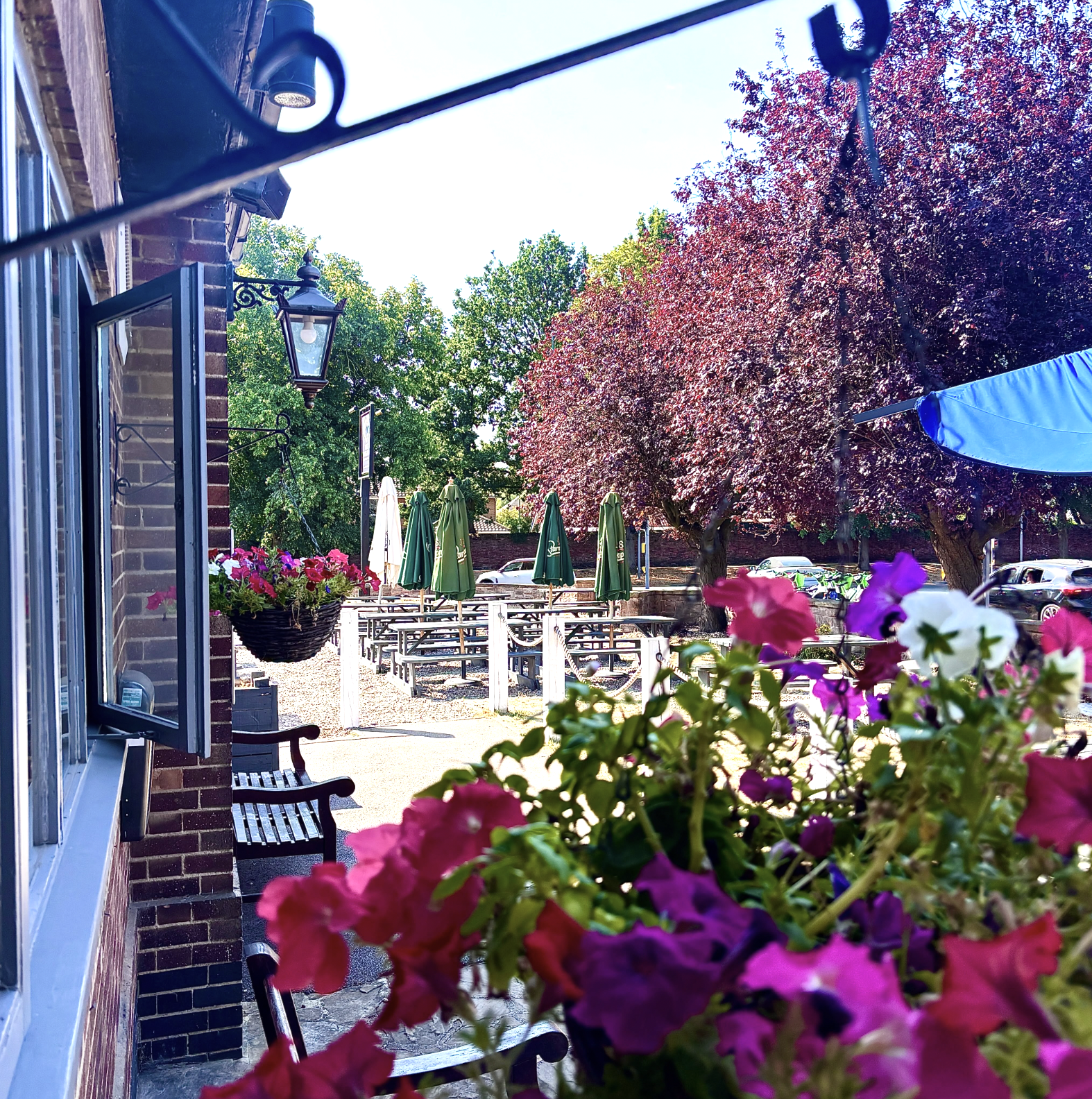 The Wollaton Pub and Kitchen